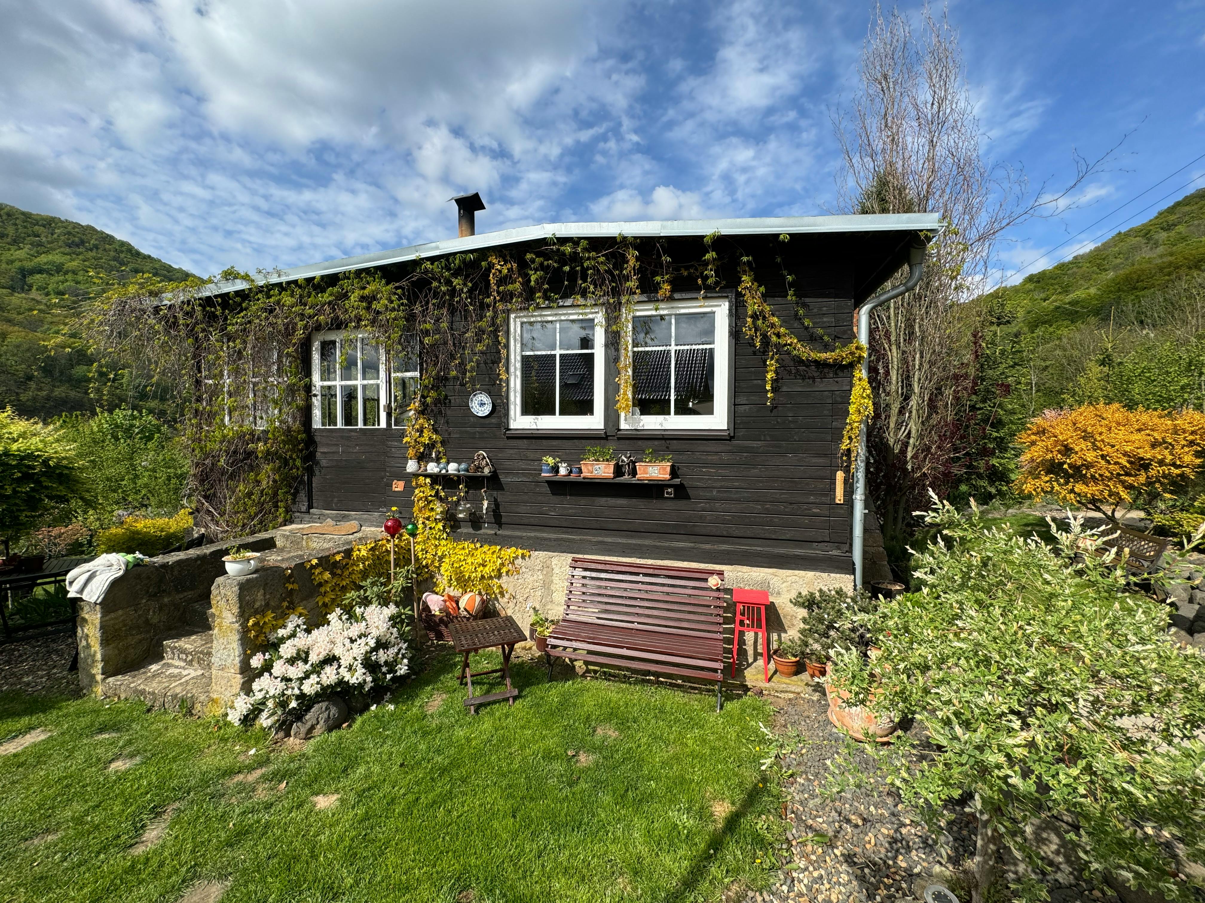 arrow management group home