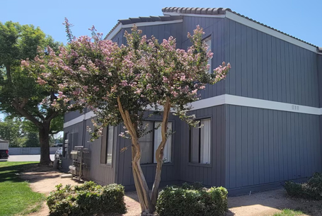 Windemere Apartments